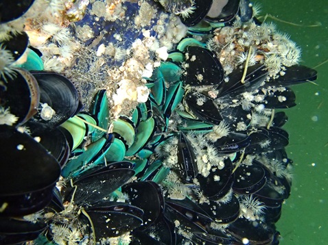 研究開発イメージ